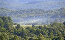 Nowendoc NSW Accommodation BNB