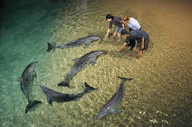 Moreton Island QLD Accommodation BNB