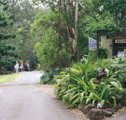 Tamborine Mountain Caravan  Camping - Accommodation BNB