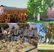 Southern Cross Motor Inn - Accommodation BNB