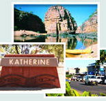 Red Gum Tourist Park - Accommodation BNB