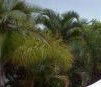 Ballina Beach Resort - Accommodation BNB 4