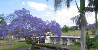Atherton Motel - Accommodation BNB 1