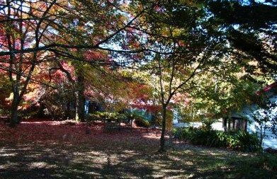 Kubba Roonga Blackheath - Accommodation BNB 4