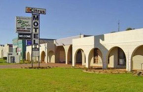 Citrus Motel - Accommodation BNB 0