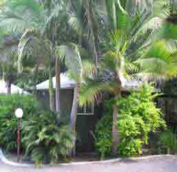 Nambour Rainforest Holiday Village - Accommodation BNB 1
