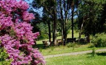 Historic Roseneath Station - Accommodation BNB 5