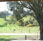 Hosanna Farm Retreat - Accommodation BNB