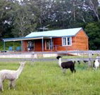 Moorallie Cottage Farm Stay - Accommodation BNB