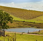 Sanctuary Hill Retreat - Accommodation BNB