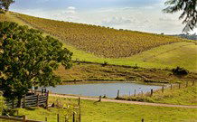 Sanctuary Hill Retreat - Accommodation BNB 0