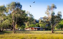 Starline Alpaca Farm Stay - Accommodation BNB 2
