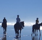 Whispering Brook - Accommodation BNB