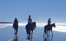 Whispering Brook - Accommodation BNB 0