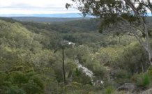 Wildwood Guesthouse - Accommodation BNB 1