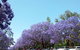 Andavine House Bed And Breakfast - thumb 5
