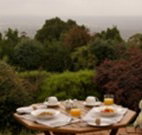Barefoot Springs Bed and Breakfast - Accommodation BNB