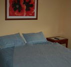 Busy Buzz - Accommodation BNB