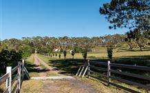 Cruickshanks Armidale Bed And Breakfast - Accommodation BNB 1
