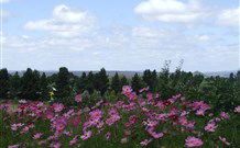 Cruickshanks Armidale Bed And Breakfast - Accommodation BNB 4