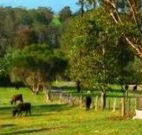 Giba Gunyah Country Cottages - Accommodation BNB