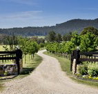 Pemberley Grange Hunter Valley Getaway - Accommodation BNB
