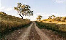 Rosby Guesthouse & Studio - Accommodation BNB 4