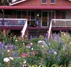 Rose Patch Bed and Breakfast - Accommodation BNB