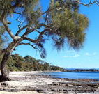 David Jones Cottage - Accommodation BNB