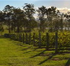 Hidden Treasure - Accommodation BNB