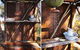 Protea Farm Cottages - thumb 6
