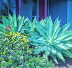 Retreat Homestead - Accommodation BNB