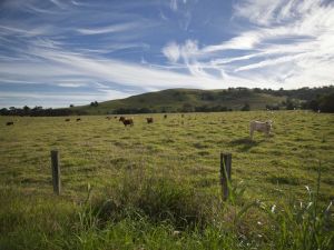 Goolmangar NSW Accommodation BNB