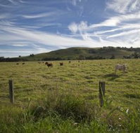 Annas Retreat - Accommodation BNB