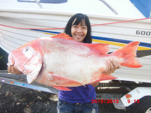 Flying Fish Point Tourist Park - Accommodation BNB 6