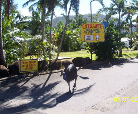 Flying Fish Point Tourist Park - Accommodation BNB 9