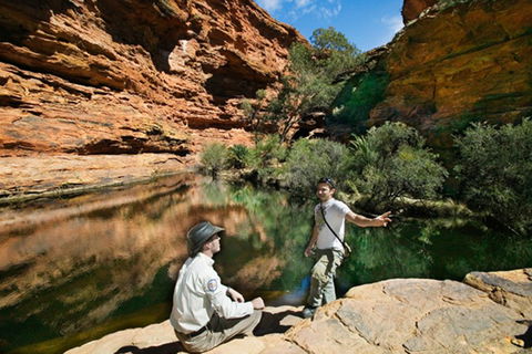 Kings Canyon Holiday Park - Accommodation BNB 8