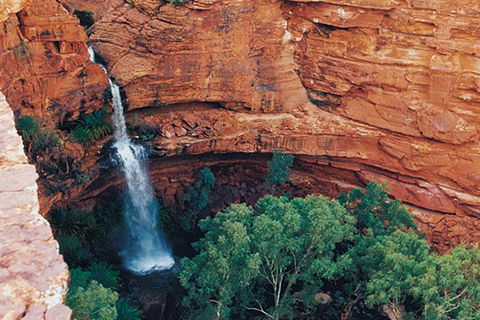 Kings Canyon Holiday Park - Accommodation BNB 9