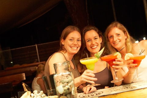 Cape Tribulation  - Accommodation BNB 3