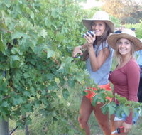 McLaren Vale Backpackers