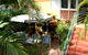 Orchid Guest House - thumb 3