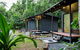 Jungle Lodge - thumb 0
