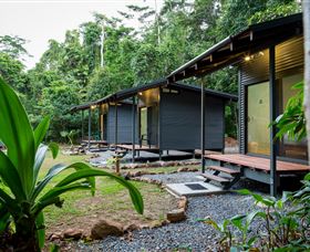 Jungle Lodge - Accommodation BNB 0