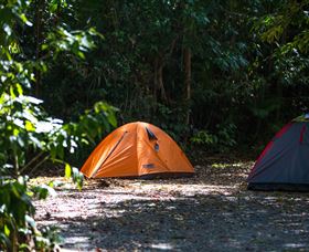 Jungle Lodge - Accommodation BNB 1
