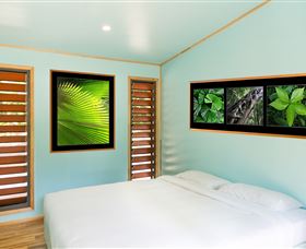 Jungle Lodge - Accommodation BNB 2