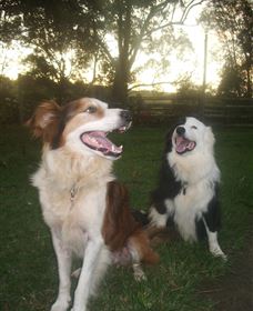 Brockhurst Farm Accommodation / Wedding Venue - Accommodation BNB 1