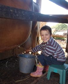 Brockhurst Farm Accommodation / Wedding Venue - Accommodation BNB 2