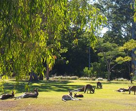 Bellmere On Richards - Accommodation BNB 2