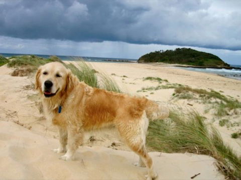 Castaway Holiday Units - Accommodation BNB 1