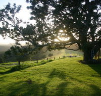 Kilfeacle Farm Cottage - Accommodation BNB